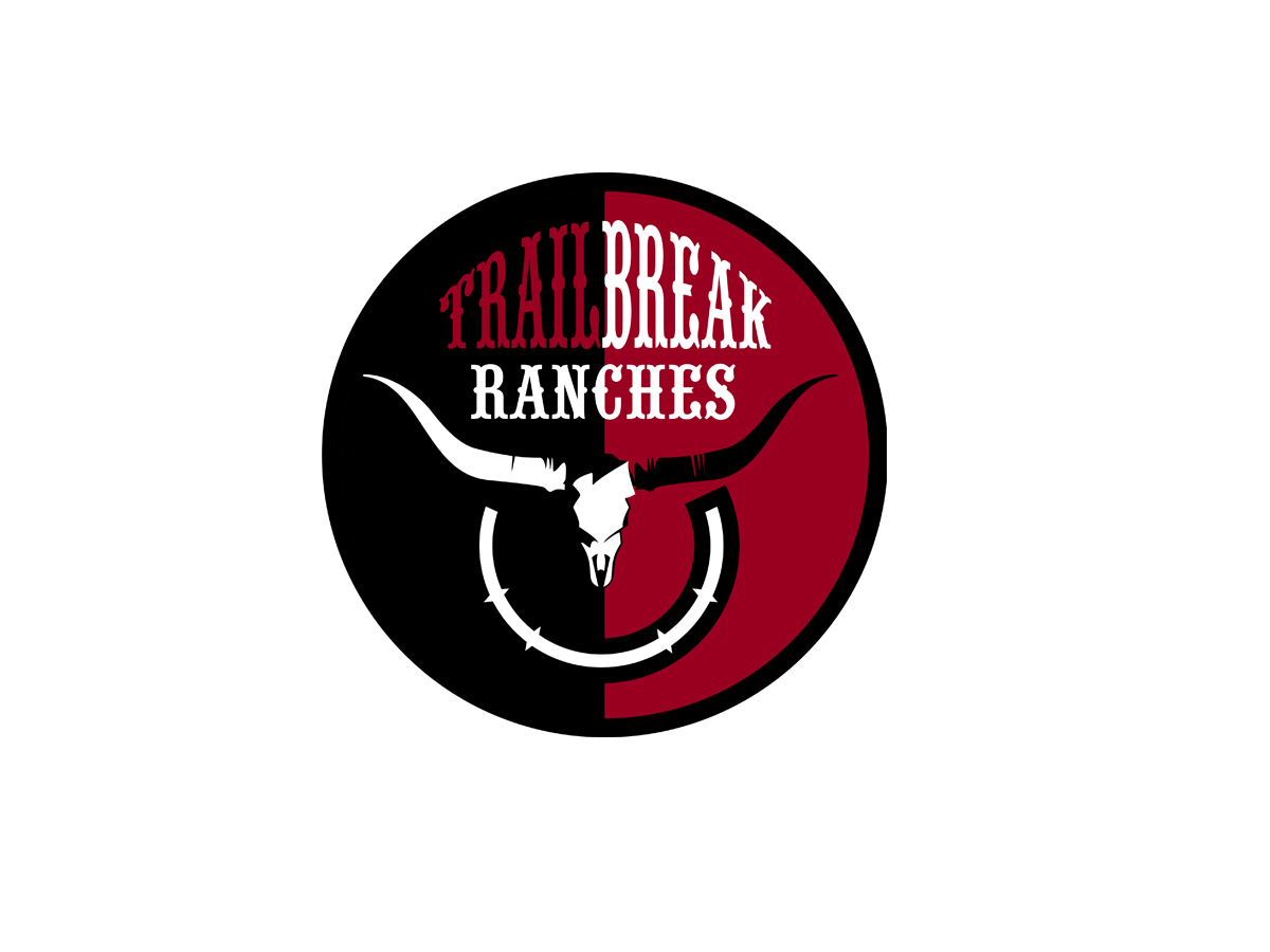 Logo Design by vladst2004 for this project | Design #2635072