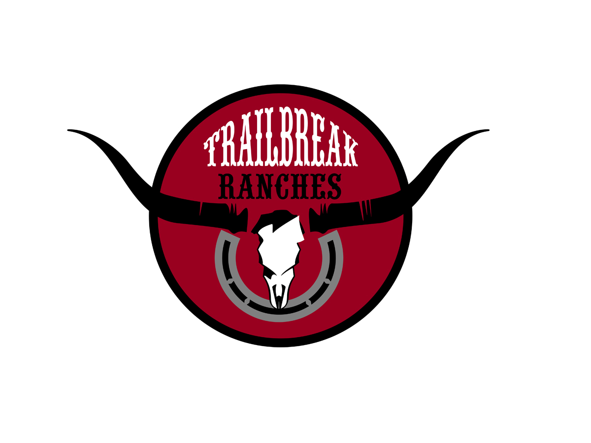Logo Design by vladst2004 for this project | Design #2635073