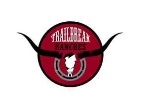 Logo Design by vladst2004 for this project | Design: #2635073