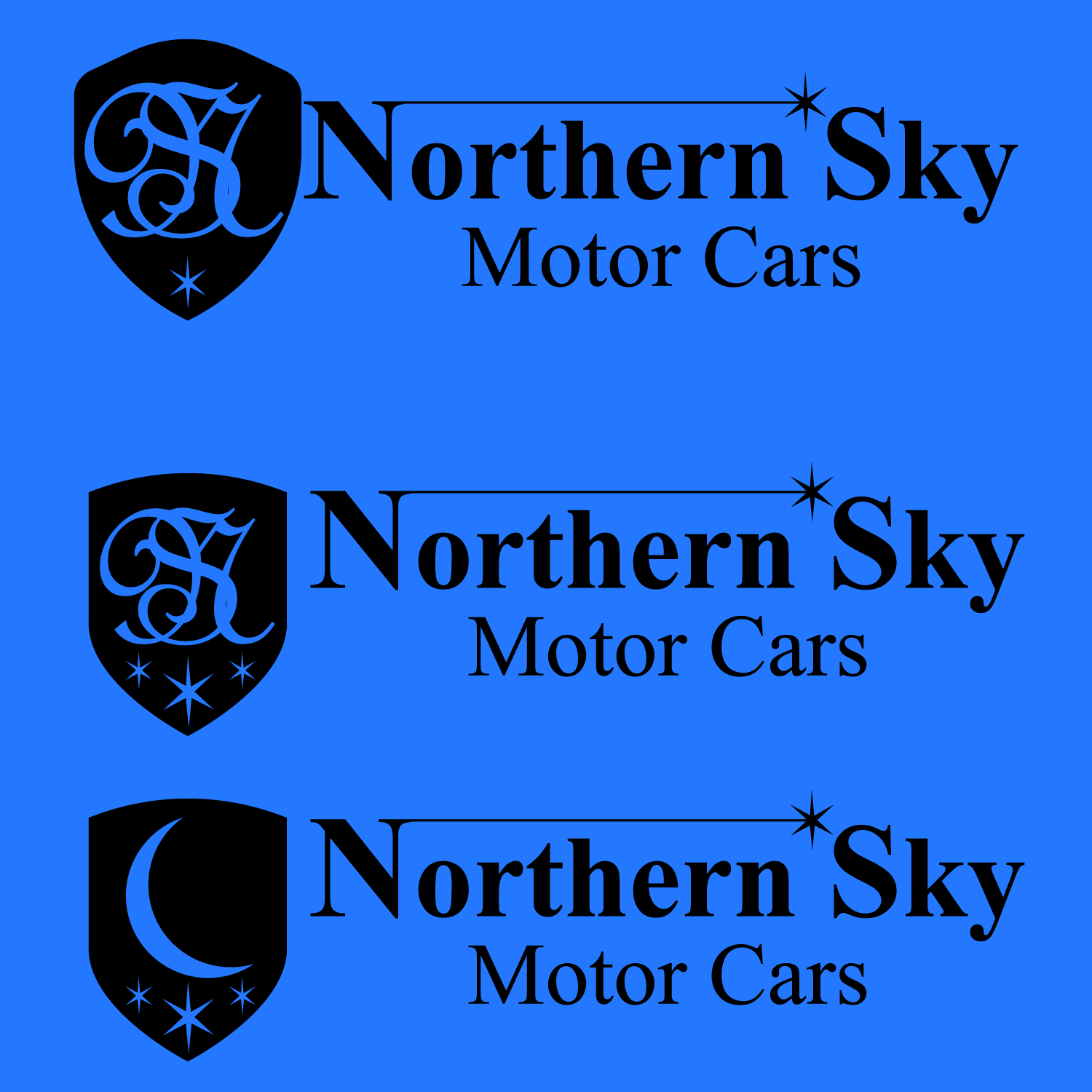 Logo Design by Costea Dan for Northern Sky Motor cars  | Design #15899896