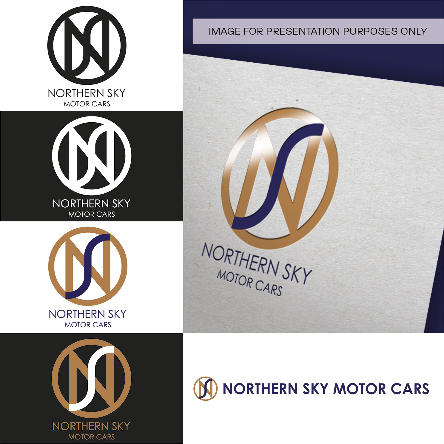 Logo Design by Crafty Fox Design for Northern Sky Motor cars  | Design #15905803