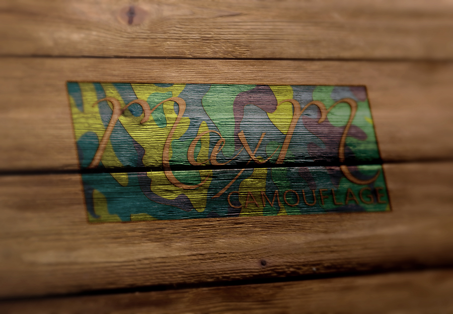 Diseño de Logo por Top king  designer para este proyecto | Diseño #15794031