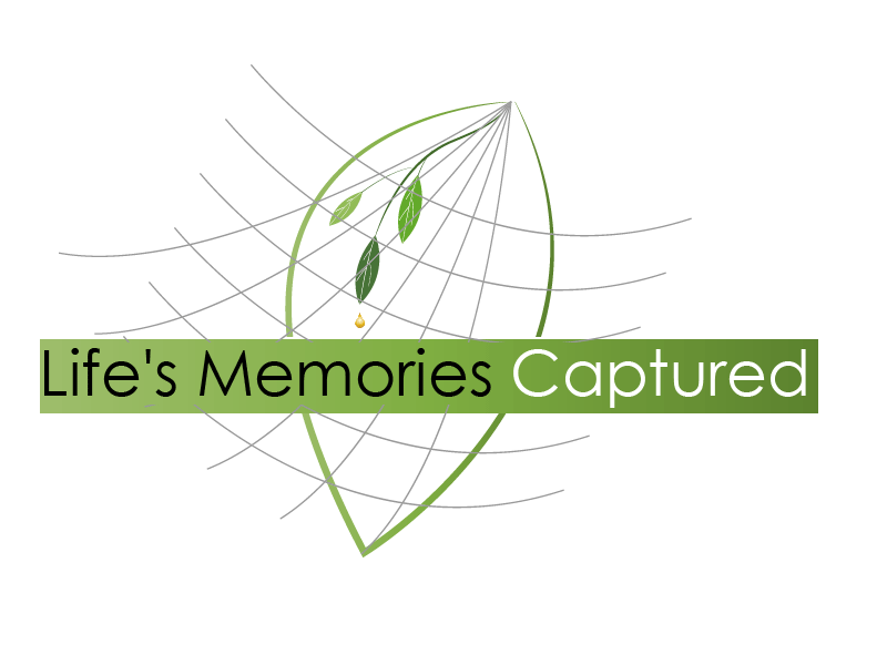 Logo Design by Spike for Graffx Design | Design #586457