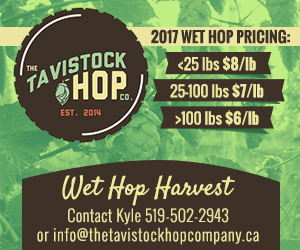 Flyer Design by MNM for The Tavistock Hop Company | Design #15470196