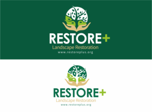 Diseño de Logo por nikkiblue para IIASA | Diseño: #15624423