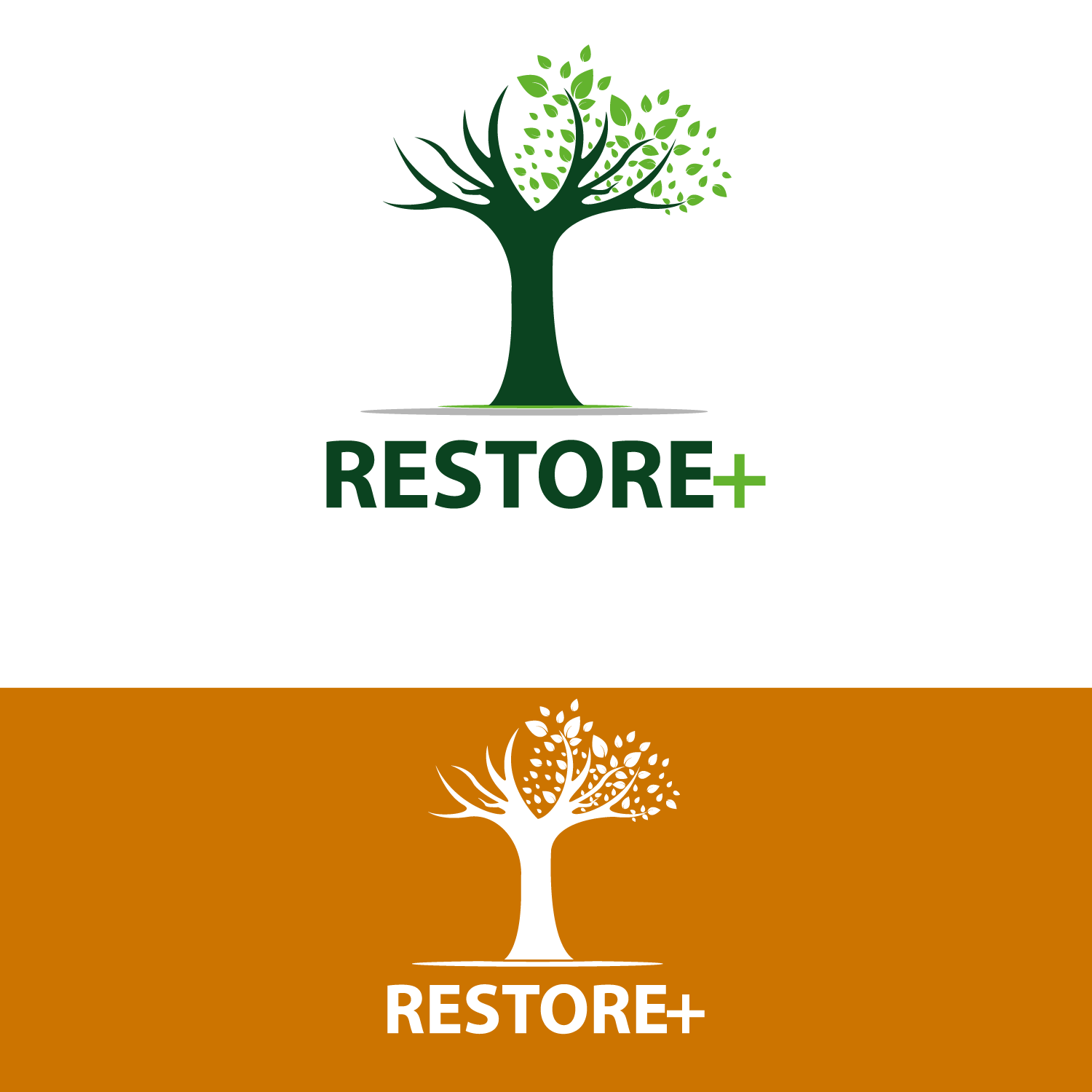 Diseño de Logo por creative.bugs para IIASA | Diseño #15476751