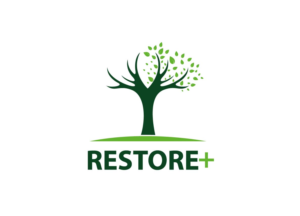 Diseño de Logo por creative.bugs para IIASA | Diseño: #15584820