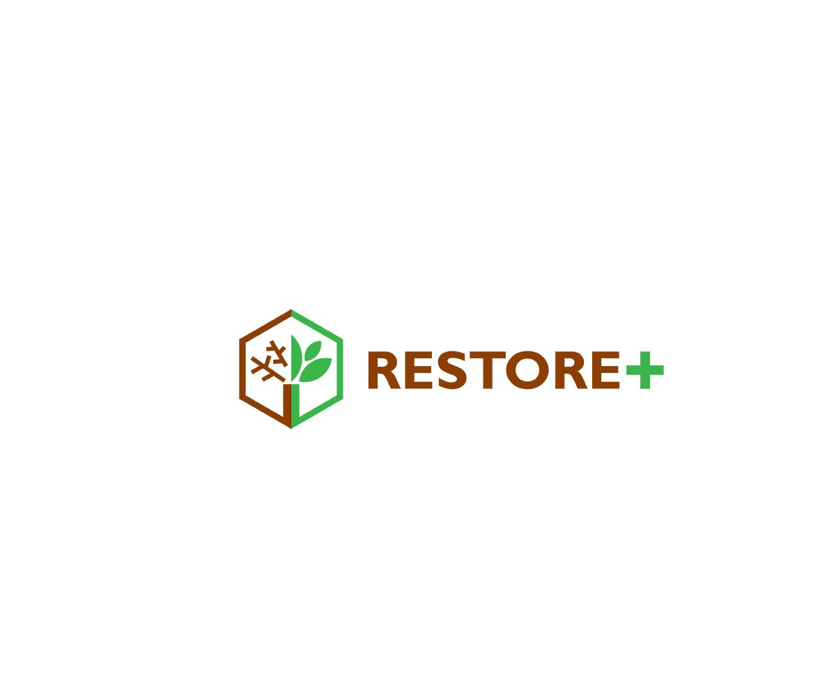 Logo Design by saulogchito for IIASA | Design #15573665