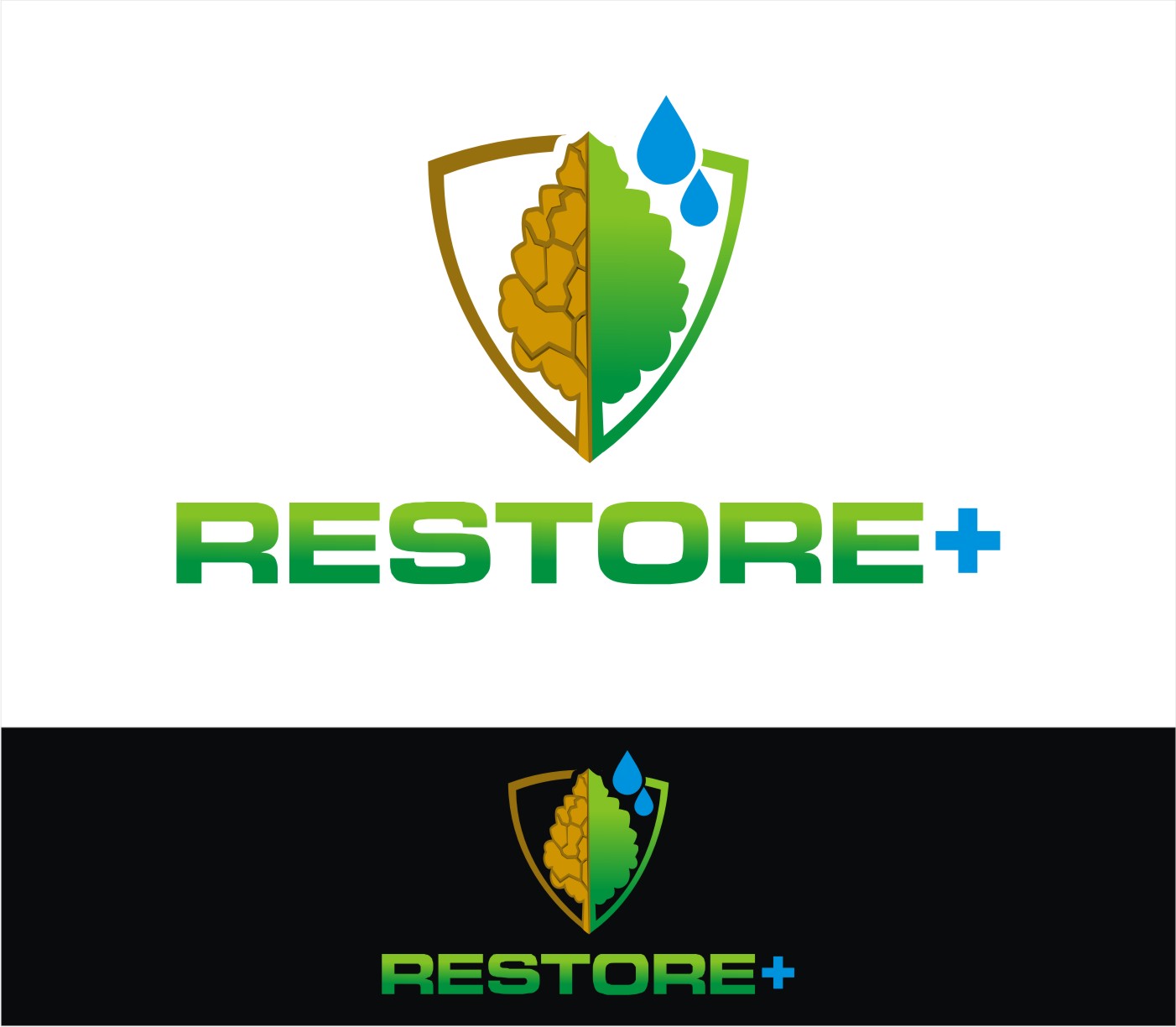 Diseño de Logo por Soul Light para IIASA | Diseño #15469981