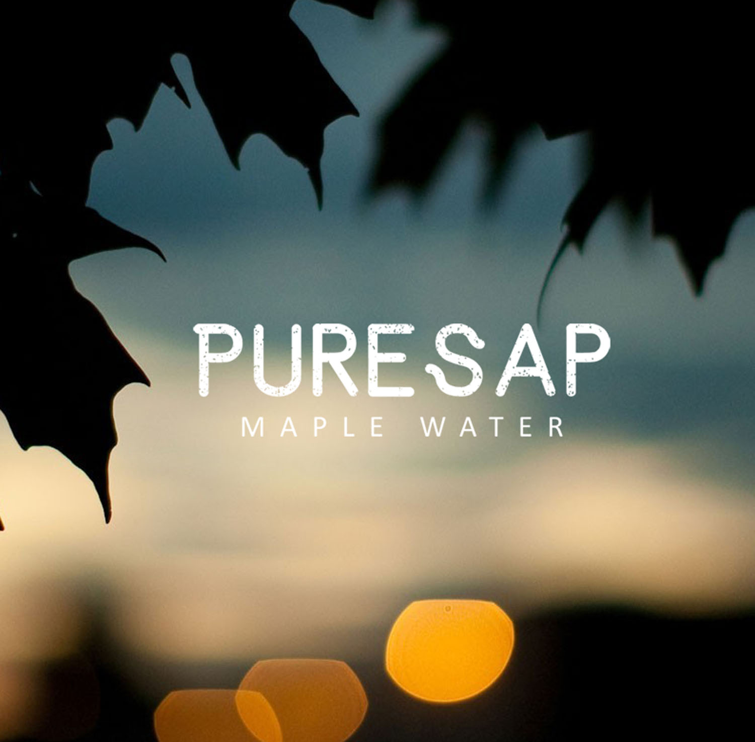 Logo Design by jassi_graphics for Pure Sap | Design #15461602