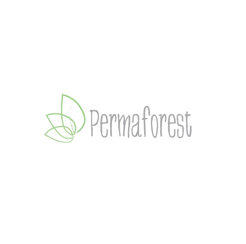 Diseño de Logo por Design Possibilities para PLCMN / Moovget | Diseño #15566125