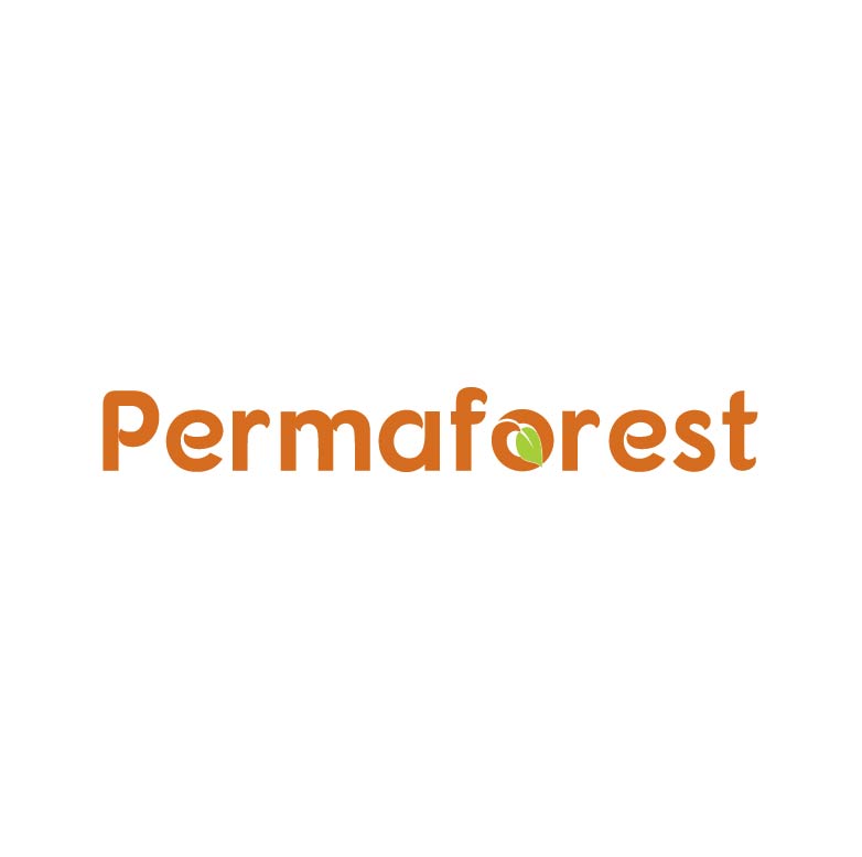 Logo Design by Design Possibilities for PLCMN / Moovget | Design #15566126