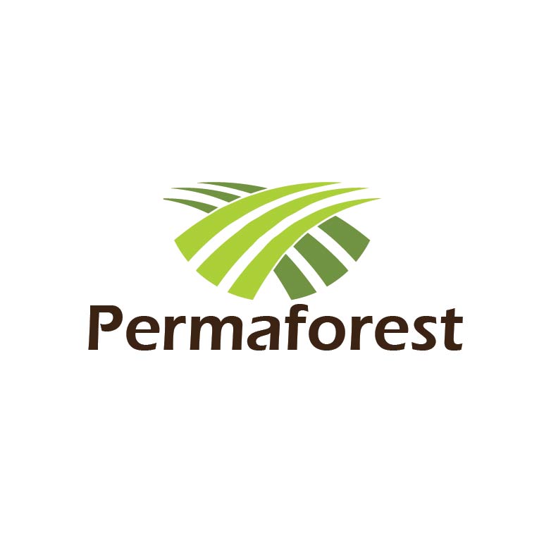 Logo Design by Design Possibilities for PLCMN / Moovget | Design #15566127