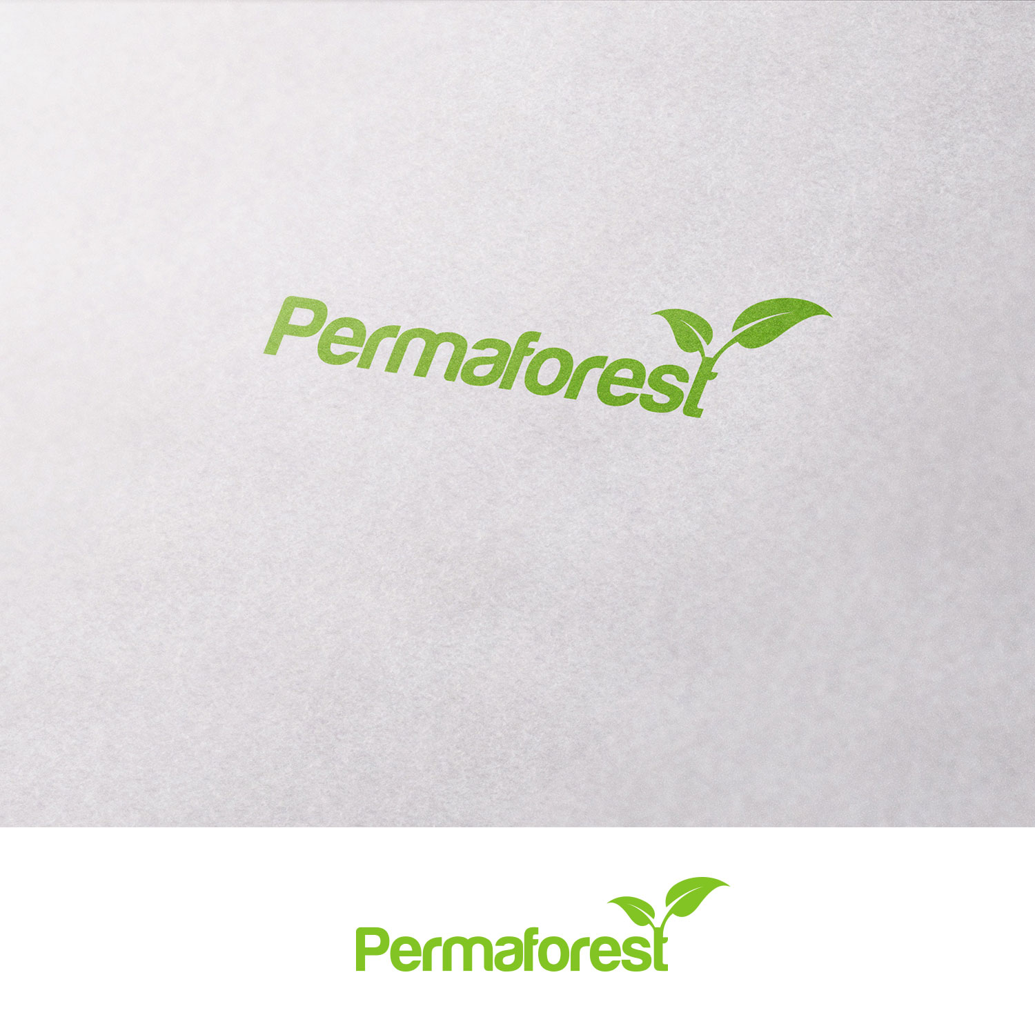 Logo Design by DesignDUO for PLCMN / Moovget | Design #15575736