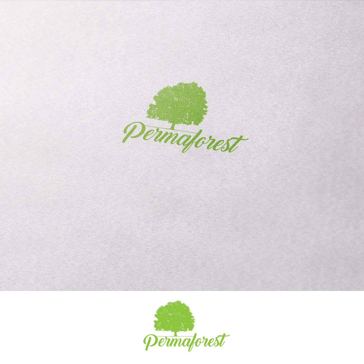 Logo Design by DesignDUO for PLCMN / Moovget | Design #15575744