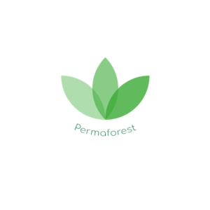 Logo Design by Graphic DSN