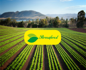 Logo Design by Graphic DSN for PLCMN / Moovget | Design: #15543719