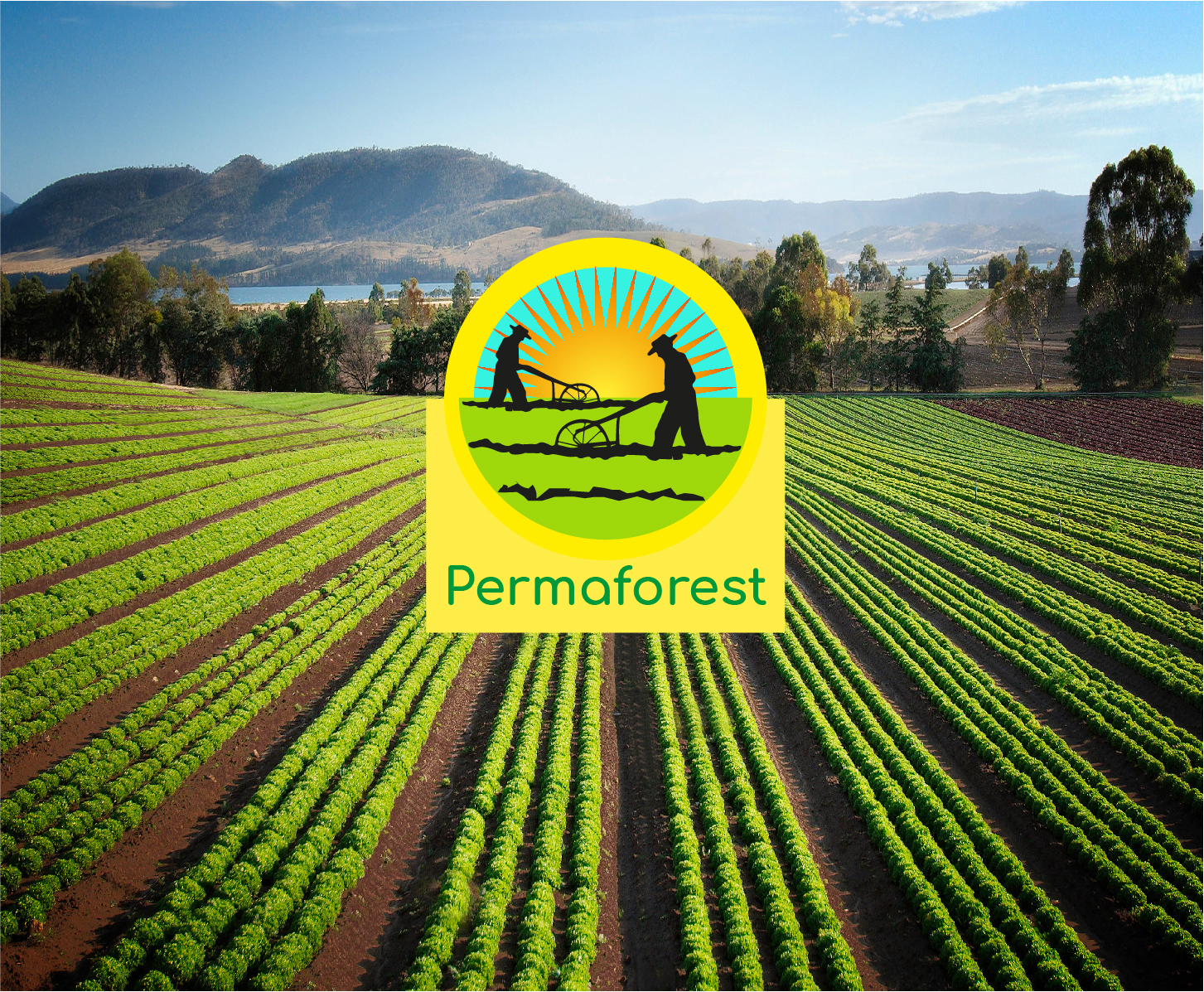 Logo Design by Graphic DSN for PLCMN / Moovget | Design #15544220