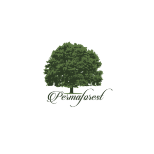 Logo Design by Graphic DSN for PLCMN / Moovget | Design: #15566706