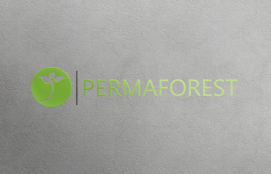 Logo Design by Top king  designer for PLCMN / Moovget | Design #15479598