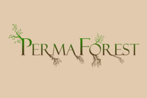 Logo Design by debby.ld for PLCMN / Moovget | Design: #15470717
