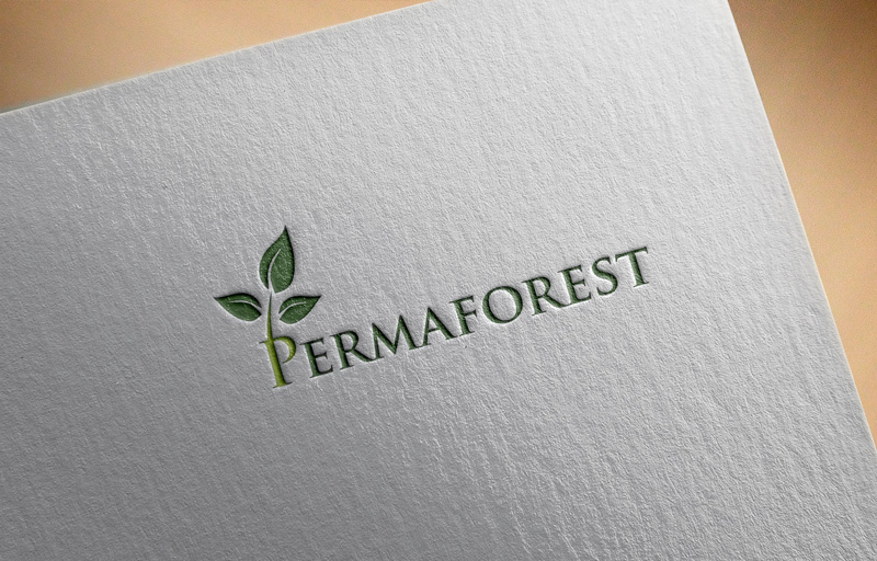 Logo Design by mojibur1993 for PLCMN / Moovget | Design #15482453