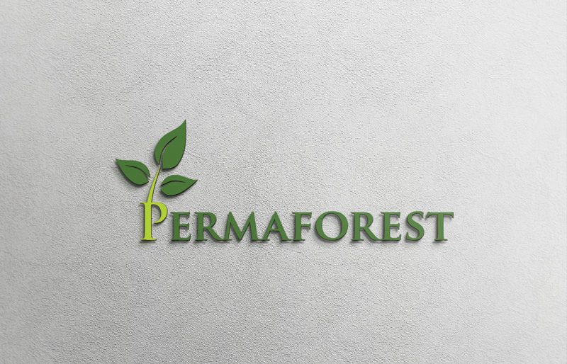 Logo Design by mojibur1993 for PLCMN / Moovget | Design #15482454