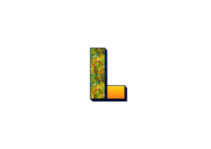 Design de Logo par jainurijackson pour ce projet | Design : #15581031