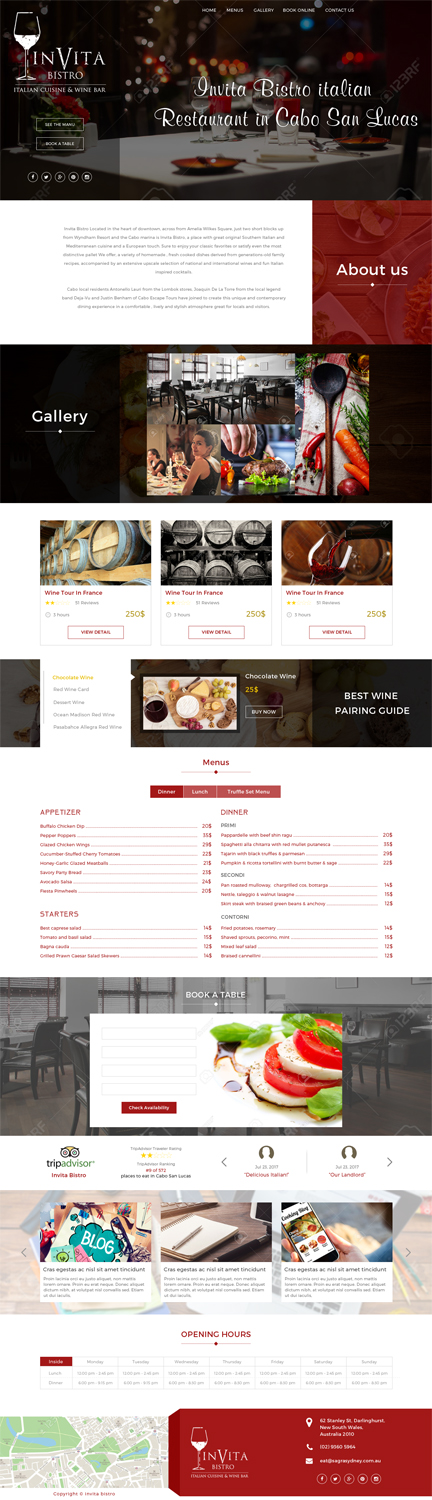Web Design by sakshiinfoway for Cabo escape tours | Design #15595392