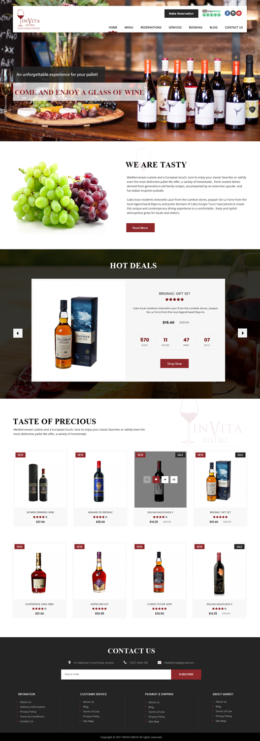 Web Design by Xclusive Designers for Cabo escape tours | Design #15538579