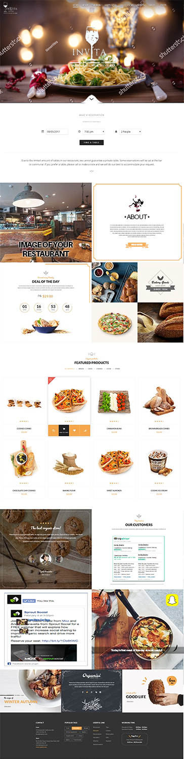 Web Design by quachystuff for Cabo escape tours | Design #15683122
