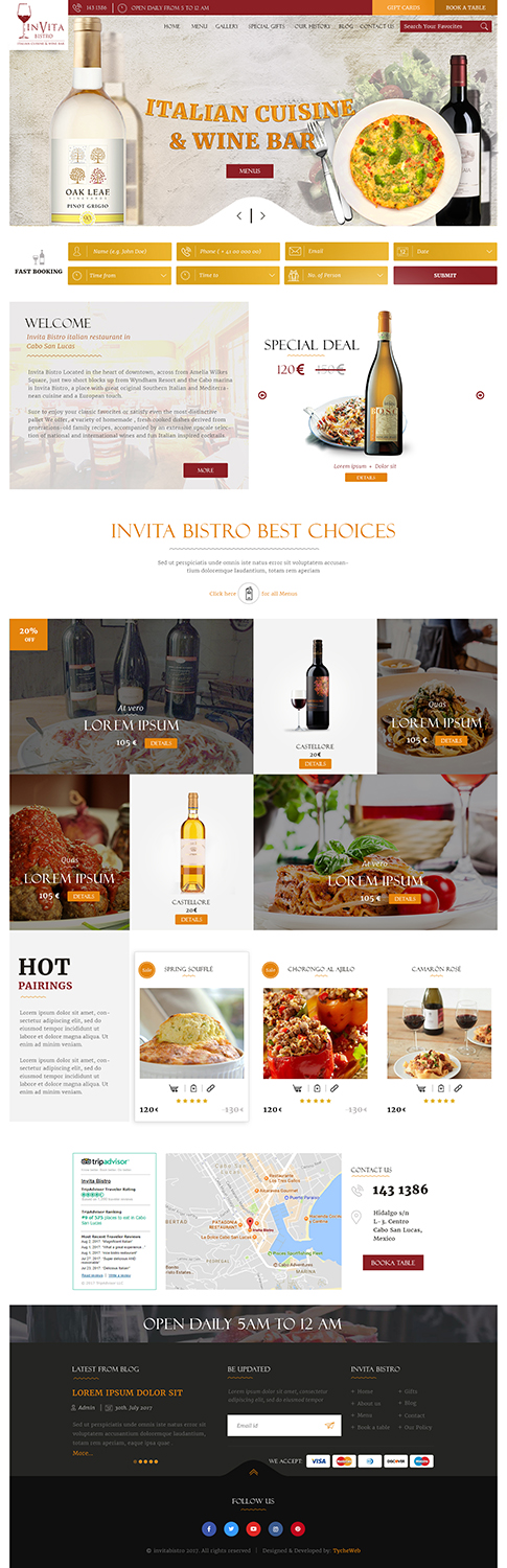 Web Design by tycheweb for Cabo escape tours | Design #15681778