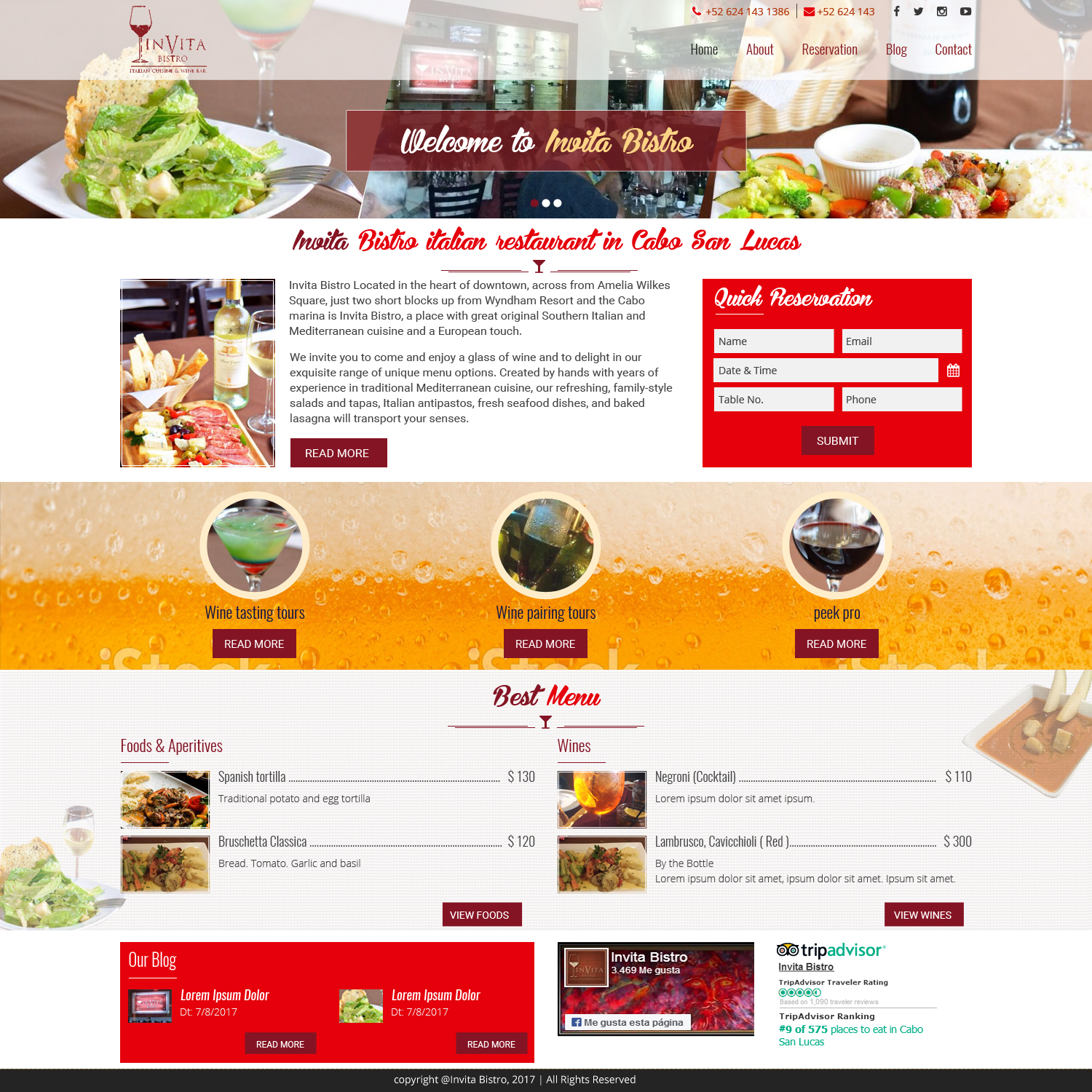 Web Design by abinfoteksolution for Cabo escape tours | Design #15685786