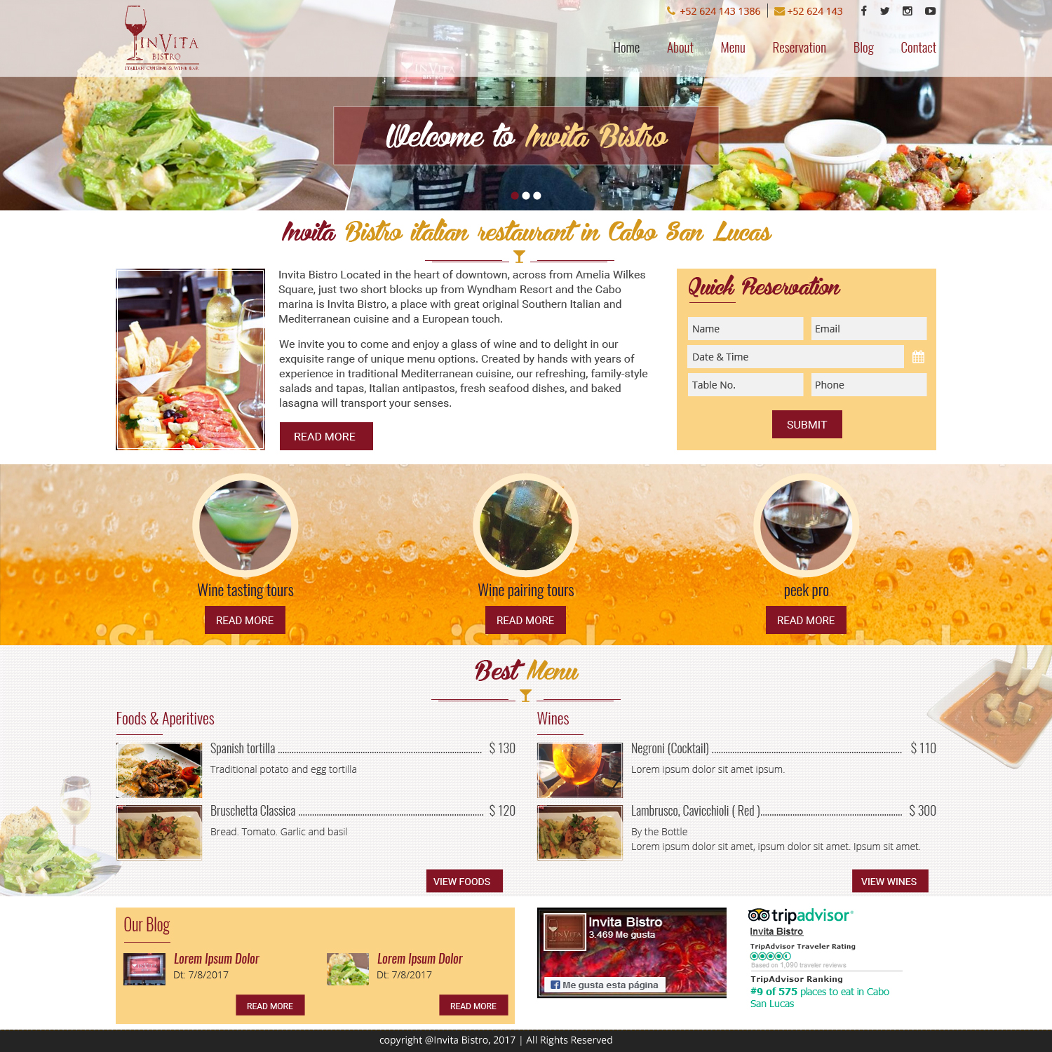 Web Design by abinfoteksolution for Cabo escape tours | Design #15685787