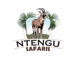 Logo Design by Sacura for this project | Design: #15501080