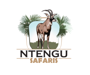 Logo Design by Sacura for this project | Design: #15501081