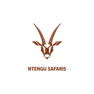Logo Design by borzoid for this project | Design: #15487451