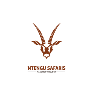 Logo Design by borzoid for this project | Design: #15492655