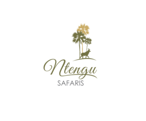 Logo Design by benito for this project | Design: #15508394