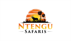 Logo Design by Soul Light for this project | Design: #15486316
