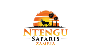 Logo Design by Soul Light for this project | Design: #15496559