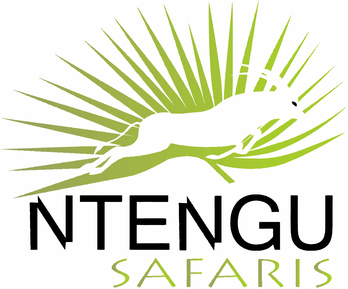 Logo Design by bessyshie for this project | Design #15527667