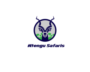 Logo Design by amel02 for this project | Design #15480156