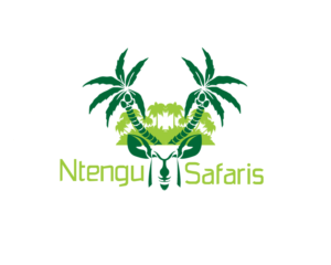 Logo Design by amel02 for this project | Design: #15480536