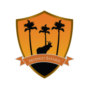 Logo Design by arthurhcbem