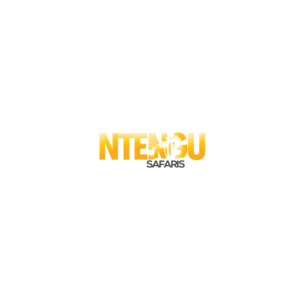 Logo Design by iNoSky