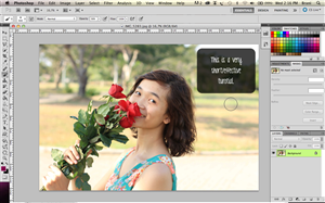 Photoshop Design by Chane for this project | Design #2591406