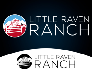 Design de Logo par rubio0383 pour ce projet | Design #15489260