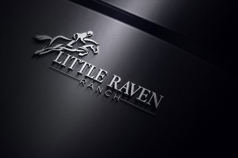 Logo Design by rocklee for this project | Design #15533464