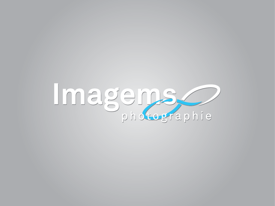 Logo Design by dhamkith for Imagems | Design #15474639
